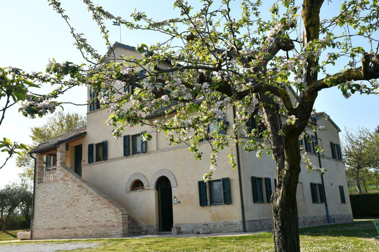 I Ciliegi Bed & Breakfast Osimo Exterior photo